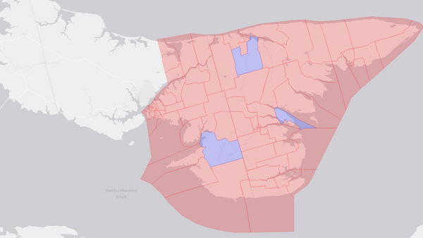 2004 Cardigan poll map