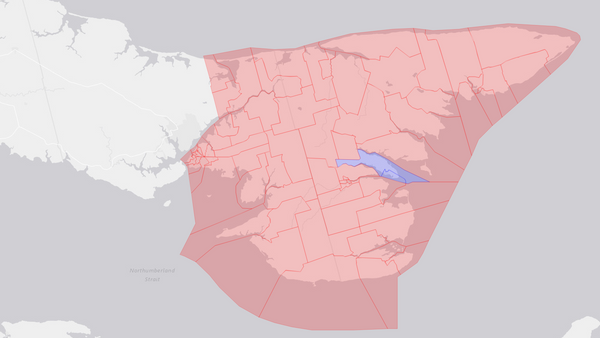 2008 Cardigan poll map
