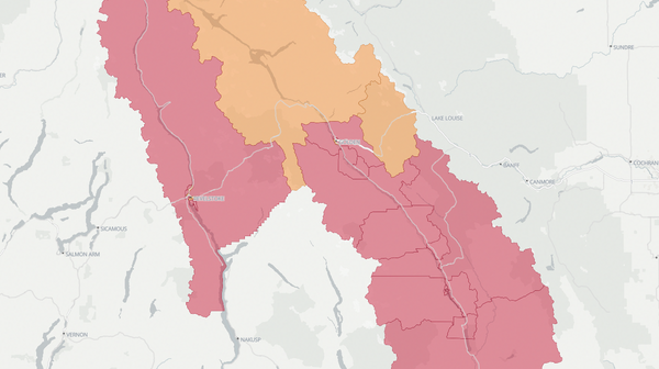 2020 Columbia River-Revelstoke poll map