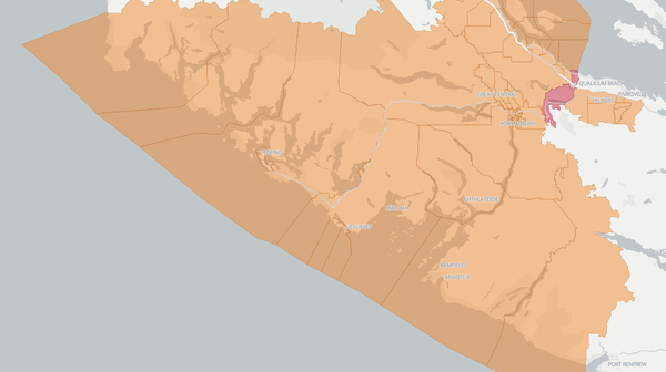 2020 Mid Island-Pacific Rim poll map