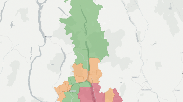 2020 Nelson-Creston poll map
