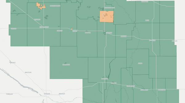2020 Cannington poll map