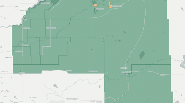 2020 Carrot River Valley poll map